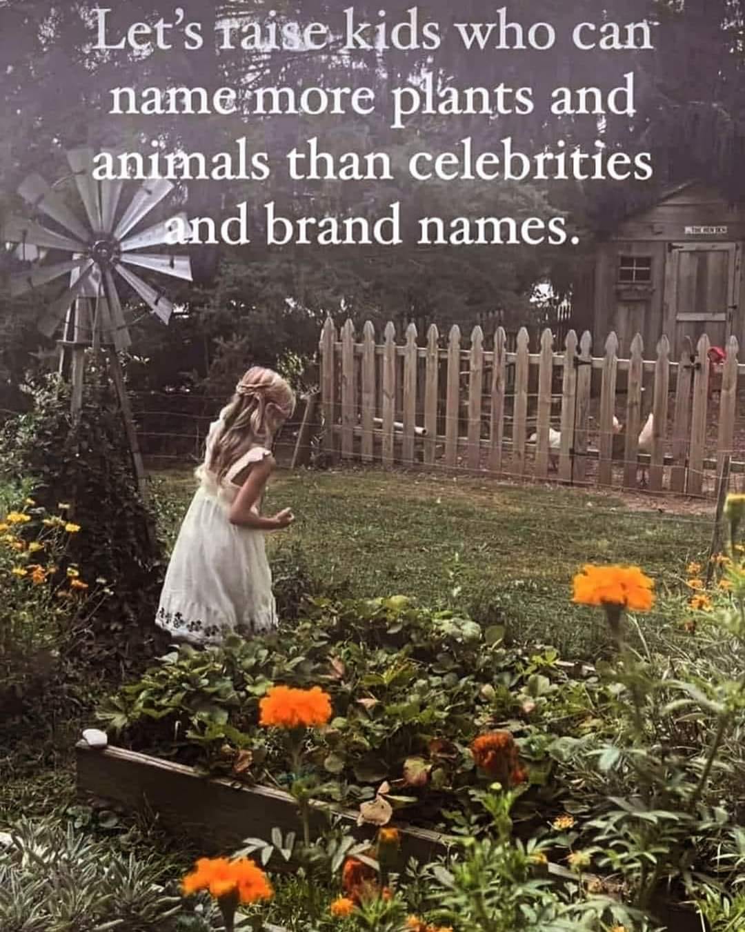 The meme is a humorous commentary on the trend of naming children after celebrities and brands. The image shows a child in a garden, surrounded by flowers and a windmill, with a quote that says "Let's raise kids who can name more plants and animals than celebrities and brand names." The image is a playful way to encourage parents to teach their children about the natural world, rather than the latest pop culture trends.